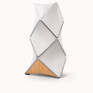 Тонколона Bang&Olufsen BeoLab 90 подовостоящана изгодна цена от AudioArte. Позвънете на 029641115 за поръчка