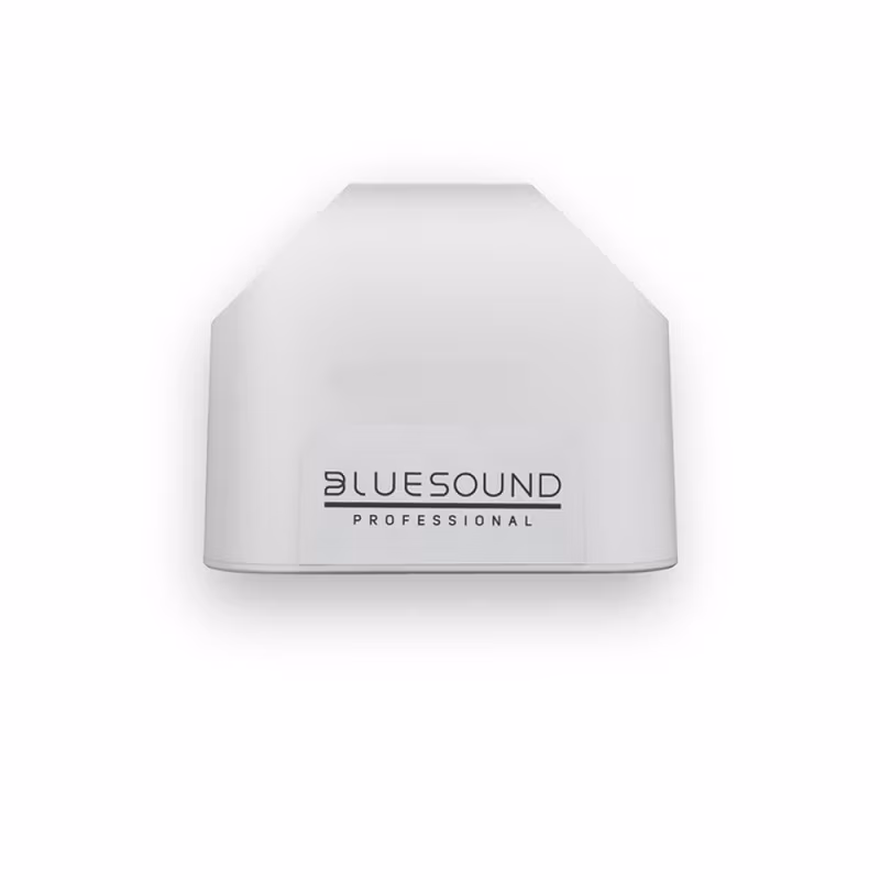 Bluesound Professional BSP125 - Мрежова активна токолона Bluesound Professional BSP125, BluOS speaker, streaming speaker, commercial audio, network speaker, wall mount speaker, Hi-Res audio, multiroom audio, SoundMachine