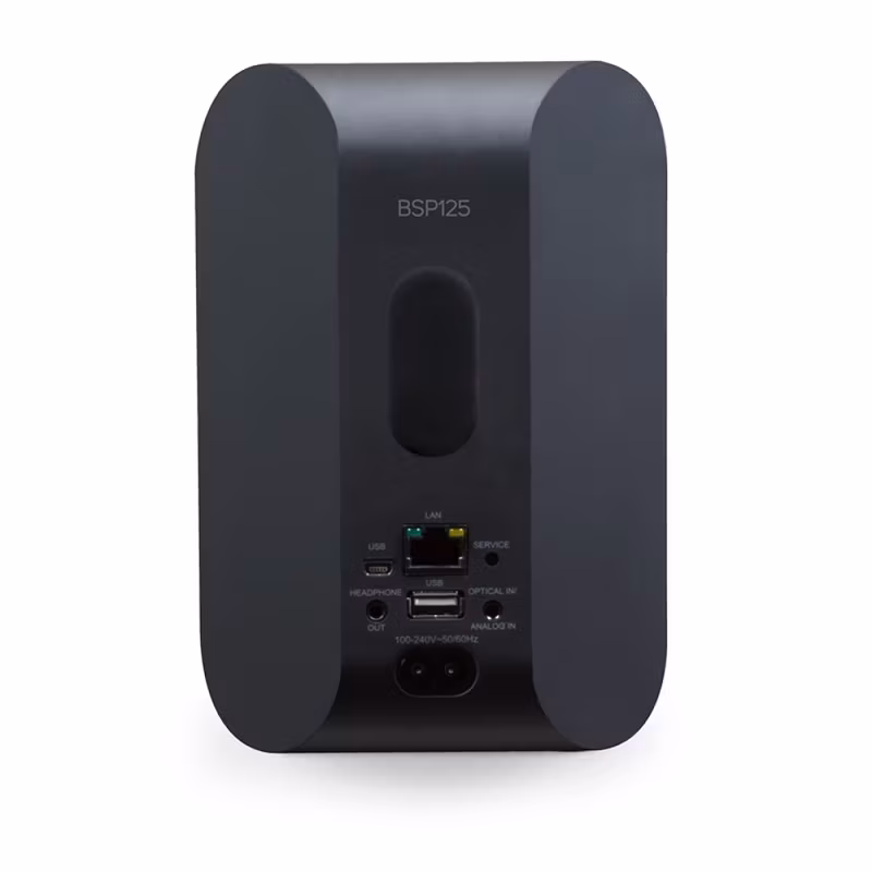 Bluesound Professional BSP125 - Мрежова активна токолона Bluesound Professional BSP125, BluOS speaker, streaming speaker, commercial audio, network speaker, wall mount speaker, Hi-Res audio, multiroom audio, SoundMachine