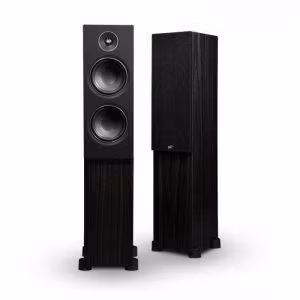 Подовостоящи тонколони PSB Alpha T20,Подовостоящи тонколони,PSB Alpha T20,Подовостоящи,тонколони,PSB,Alpha T20,Стерео